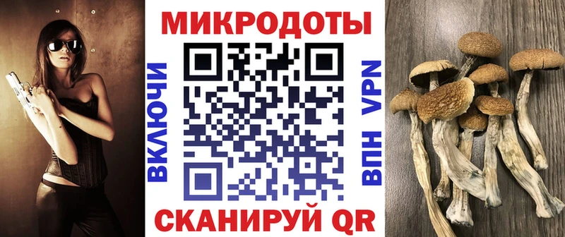 даркнет сайт Володарск Галлюциногенные грибы Magic Shrooms