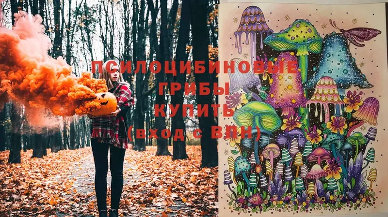 Псилоцибиновые грибы Magic Shrooms  Володарск 