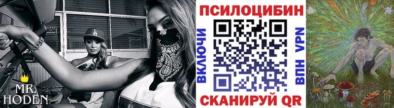Псилоцибиновые грибы Cubensis Володарск
